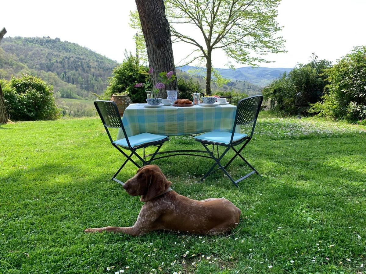 Antico Borgo Di Sugame Villa Greve in Chianti Kültér fotó